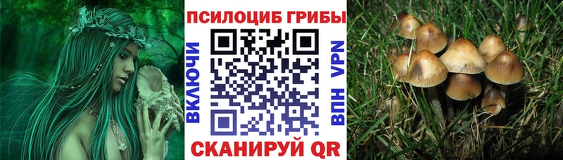 Псилоцибиновые грибы GOLDEN TEACHER  наркошоп  Судак 